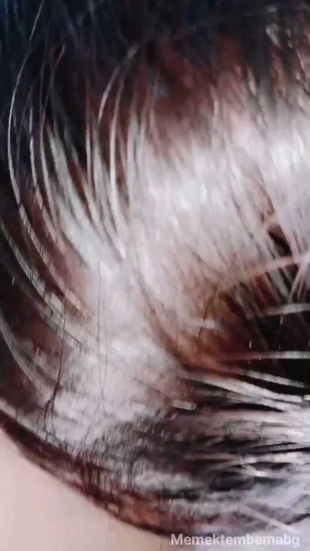 Frame 5