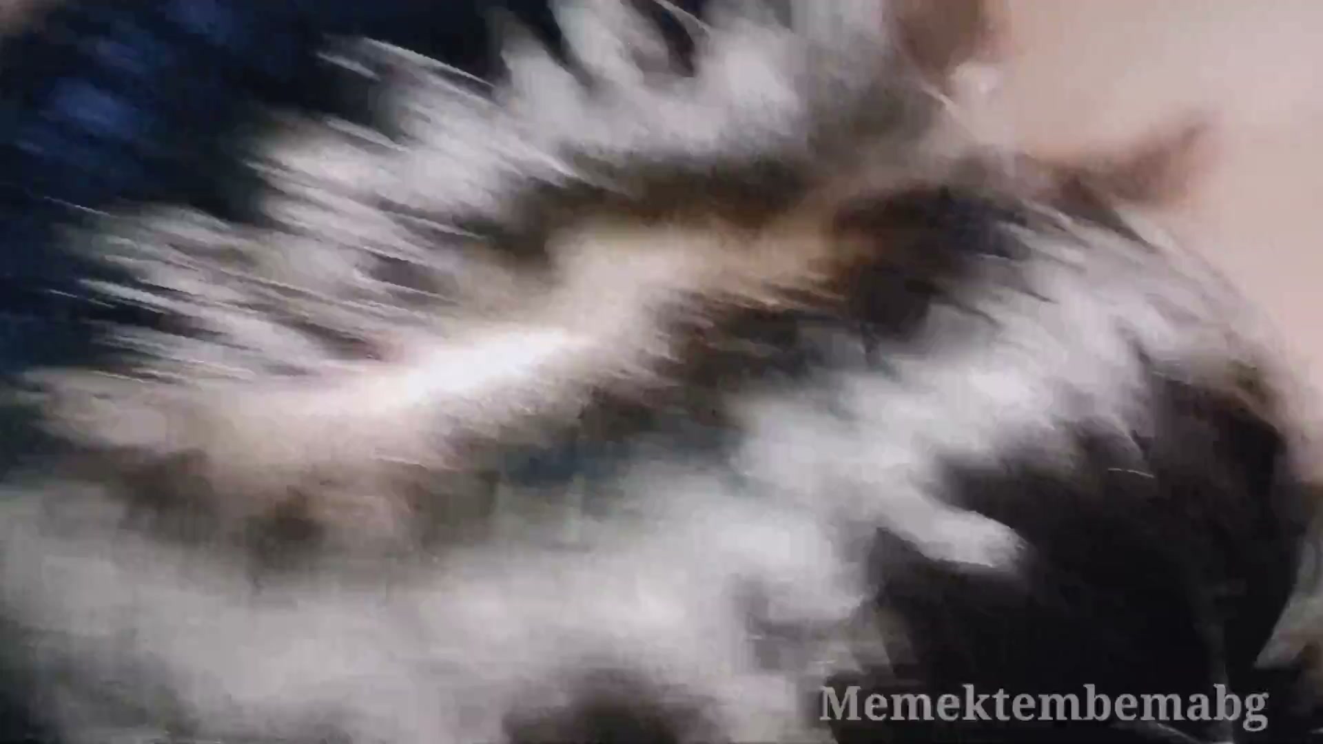 Frame 1