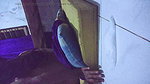Crot in pussy lonte massage parlor ++