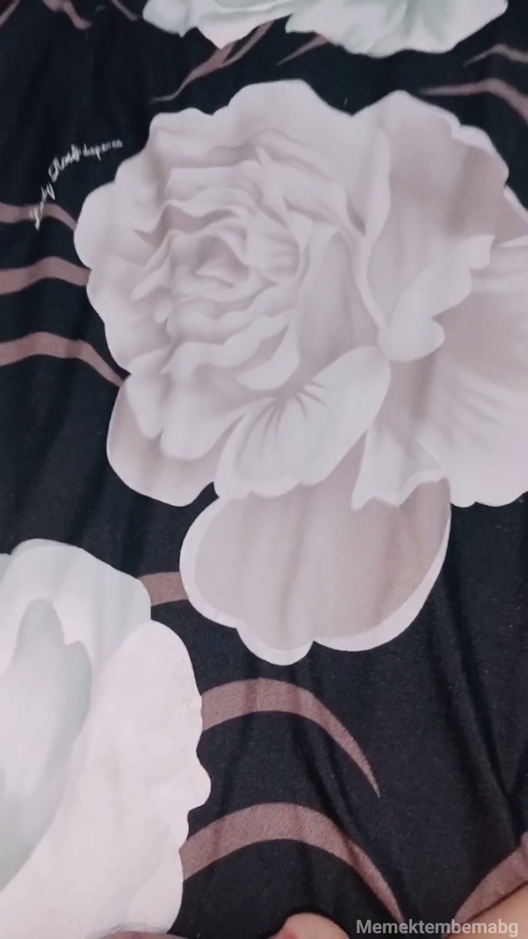 Frame 1