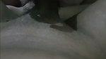 Fucking my friend’s wife while she’s gone