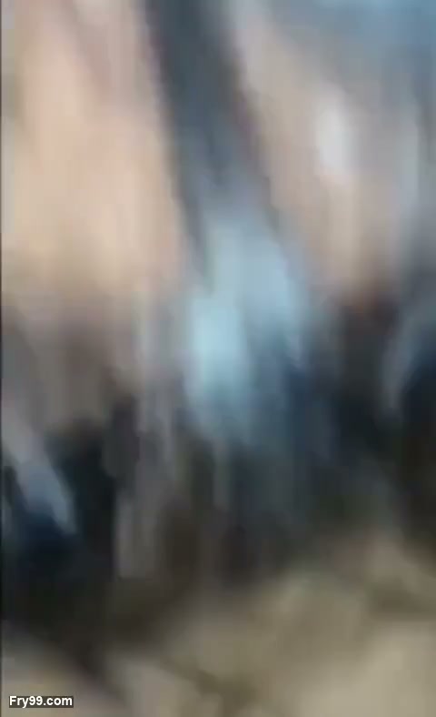 Frame 1