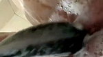 Full naked horny cute desi girl