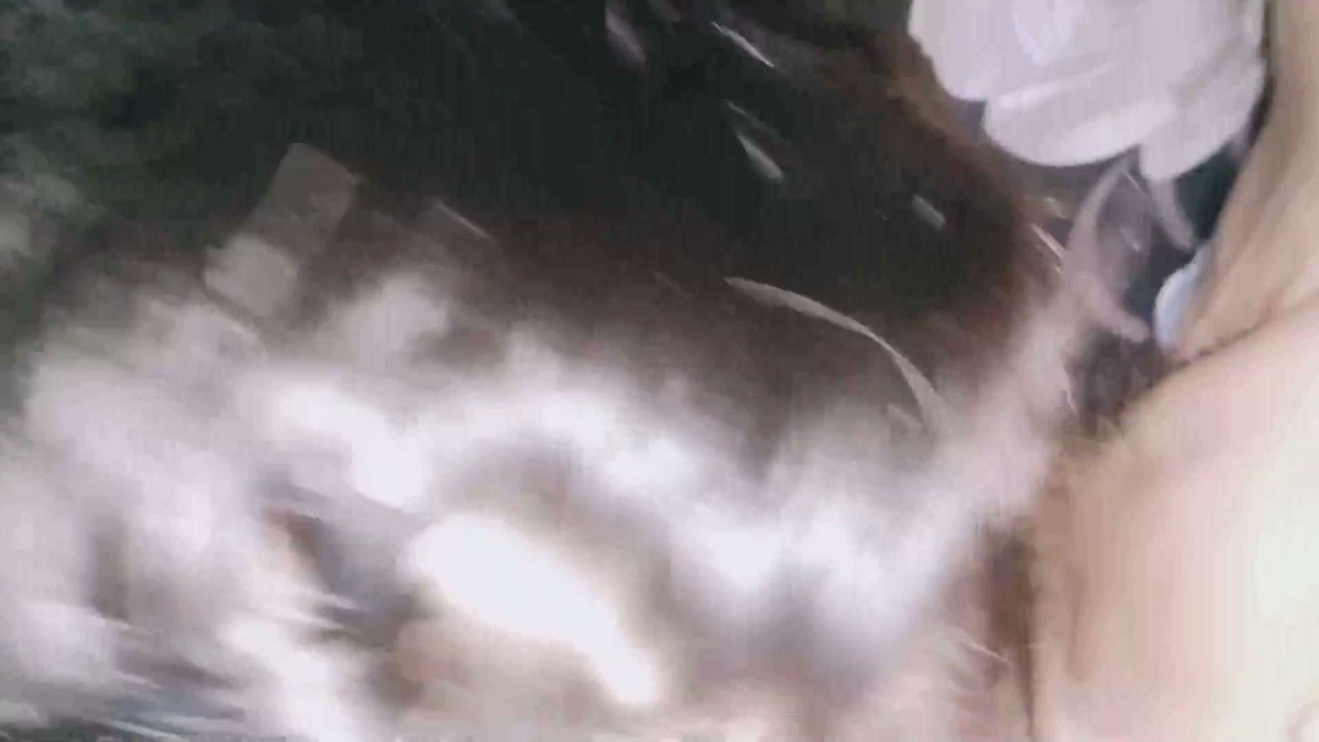 Frame 1