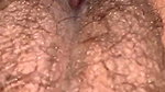 Hairy Young Asian Pussy