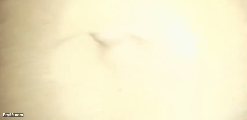 Frame 8