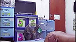 I can’t stand it!! My girlfriend’s friend fucks with me