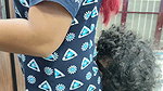 Hot Neck Kiss and Ass Kiss Romance in Nighty
