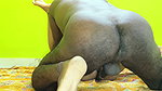 Indian Newly Couple Hardcore Love and Sex Full Foreplay Fantasy Sexual and Sensational Hardcore Fucking Licking by Big Cock.