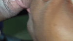 Stepsister Sucking Stepbrothers Big Cock