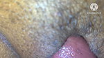 Thickness of My Bhabhiji Ass Show How She Got Fucked by Her Husband
