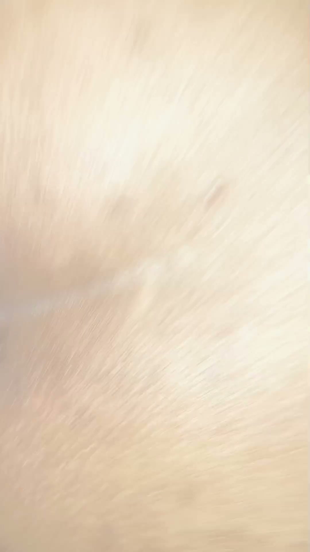 Frame 6