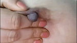 নতুন মডেল পুষ্প সিঙ্গেল সো ২৩-১০-২০২৫ ইং