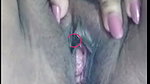 মাহিয়া সিঙ্গেল সো তারিখ -, ১০-০৩-২৬ ইং