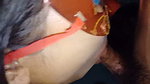 Asia girl amateur blowjob