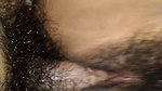 Aunty Hairy Rocks Husband’s Cock
