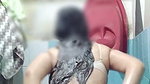 Beautiful and sexy chick in the shower