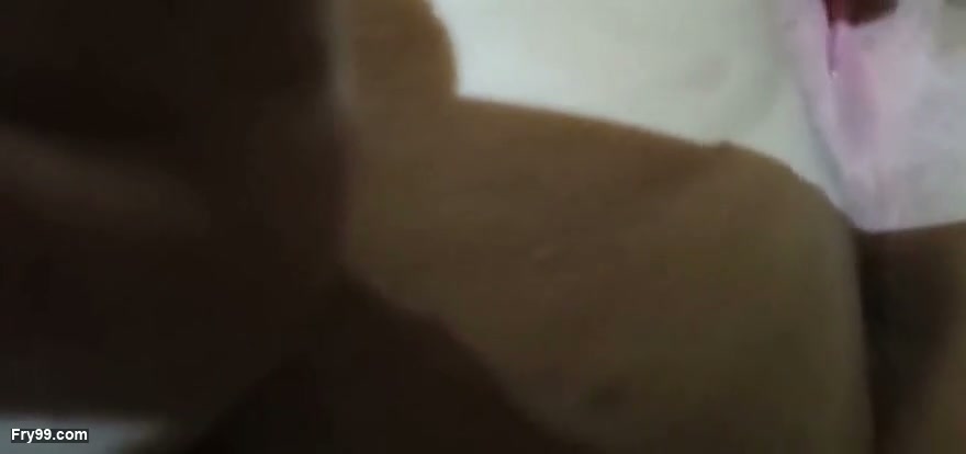 Frame 5