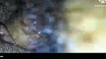 Crot di dalam sex indo
