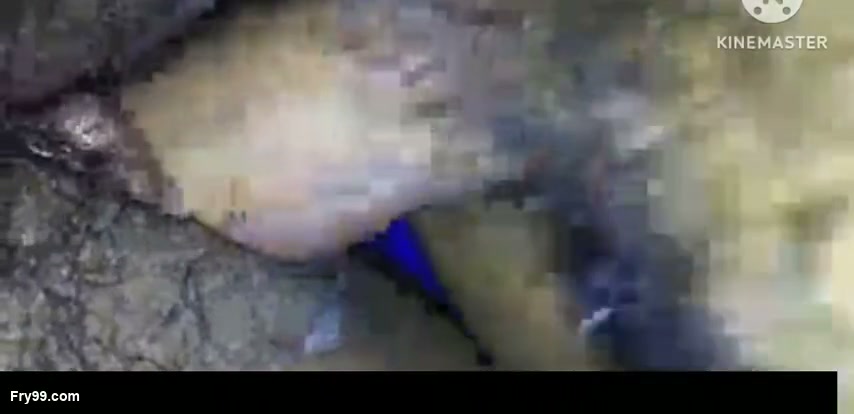 Frame 9