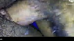 Crot di dalam sex indo
