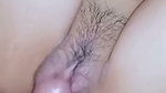 Cum In The Pussy