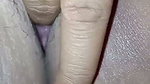 Delicious chubby pussy fucked by a big dick