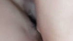 Janda sange