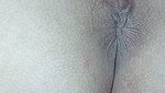 Jilats memek