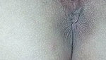 Jilats memek