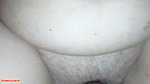 Mulus