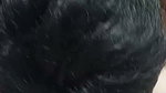 My pussy throbs as a big cock comes in and squirts in it