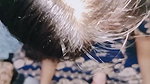 Newest video Crot in tight vagina