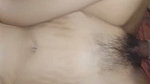 Ngewe Cewek BO Panlok Cantik Semok