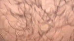 Original video footage of a neighbor’s wife being fucked by a crot