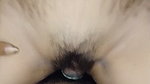 POV with wife