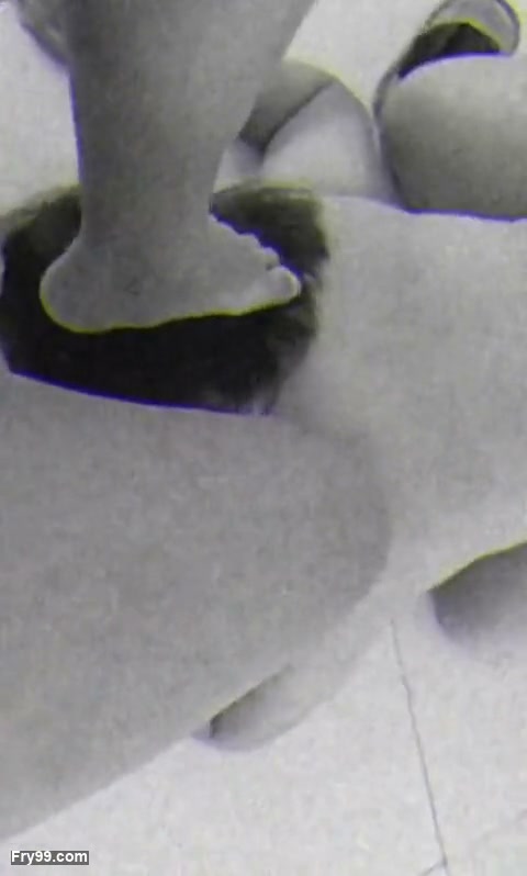 Frame 2