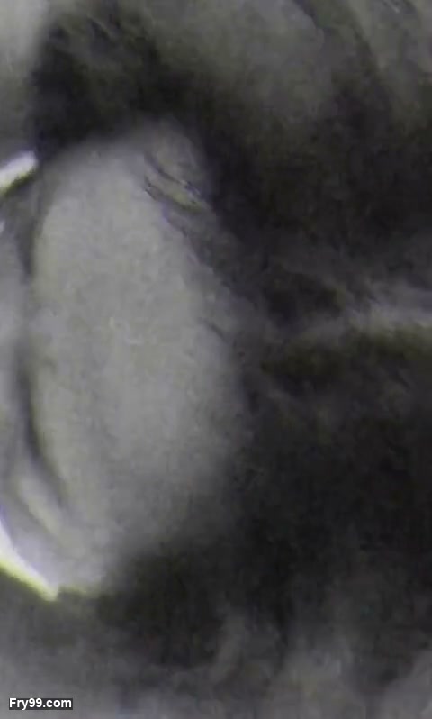 Frame 3