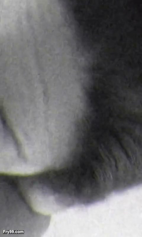 Frame 8