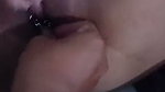 Pussy play, short video compilation,