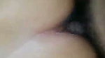 Sex indo istri mendesah orgasme