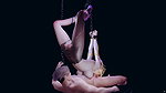 VAM 3D Qian Renxue Doing BDSM