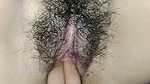 Very Noisy Binor Pussy