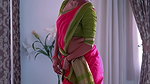 BHUMIKA HOTNESS WIFE MATERIAL IN SAREE TEASE HQ VIDEO 22