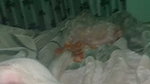 Famous Influencer Bj Hard Fucking Rimjob Teasing & Showing Updates 290