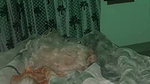 Famous Influencer Bj Hard Fucking Rimjob Teasing & Showing Updates 290