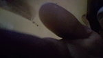 Godf 10 3