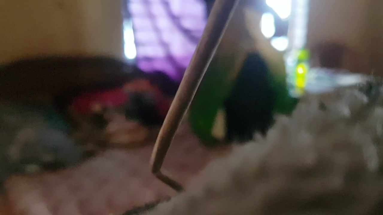Frame 4