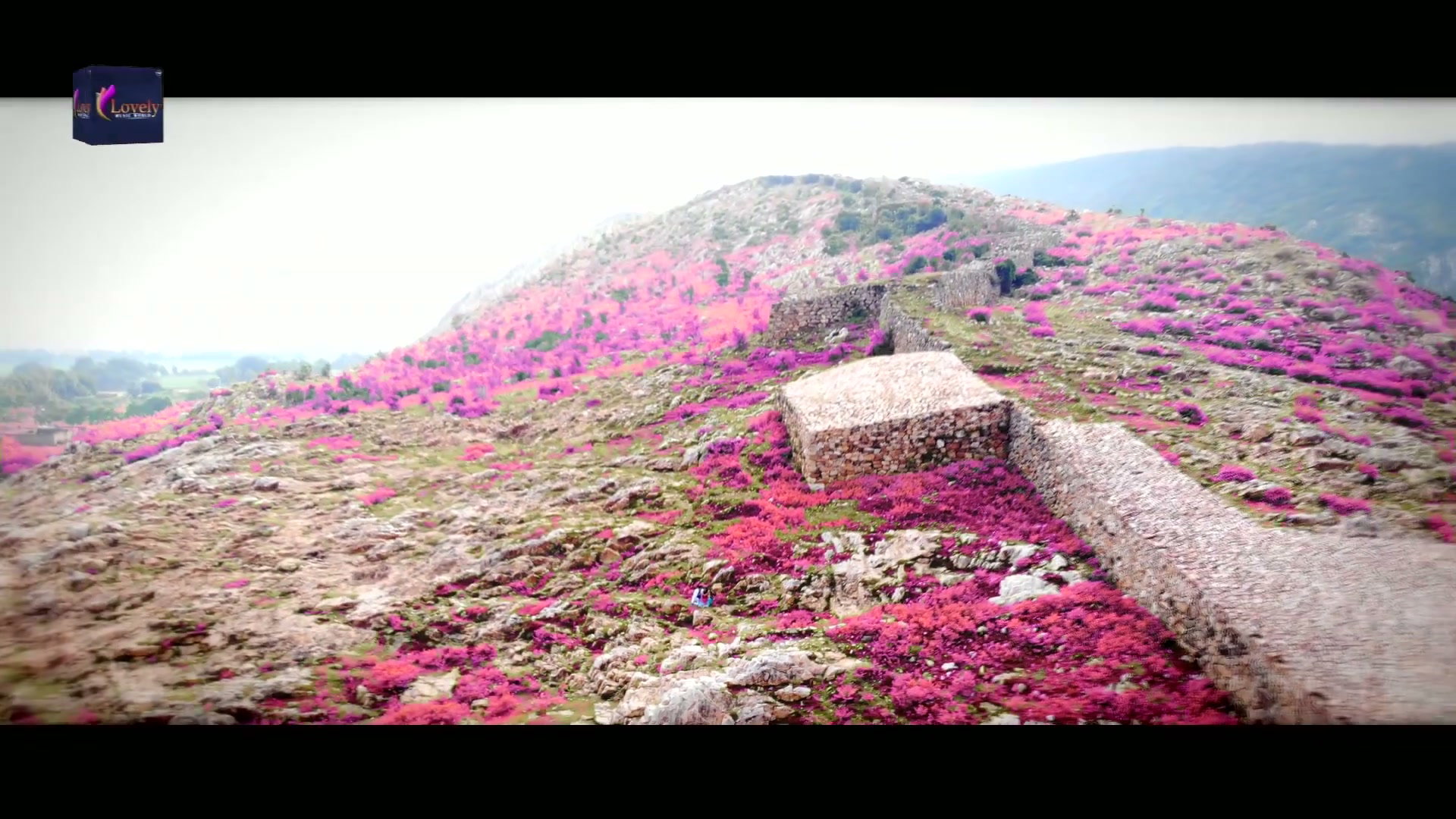 Frame 4