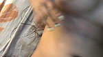 Funlovingindians_Cam_Model_Free_Live_Sex_Show_&_Chat_Stripchat_2021